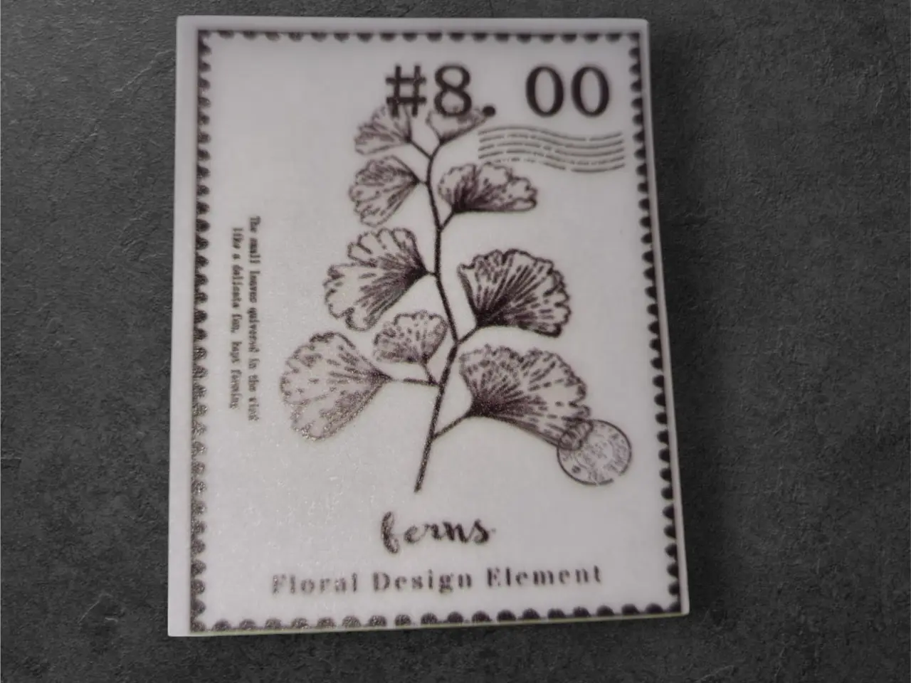 Billede 1 - Papirark med gråtoneillustration af bregner Forvan