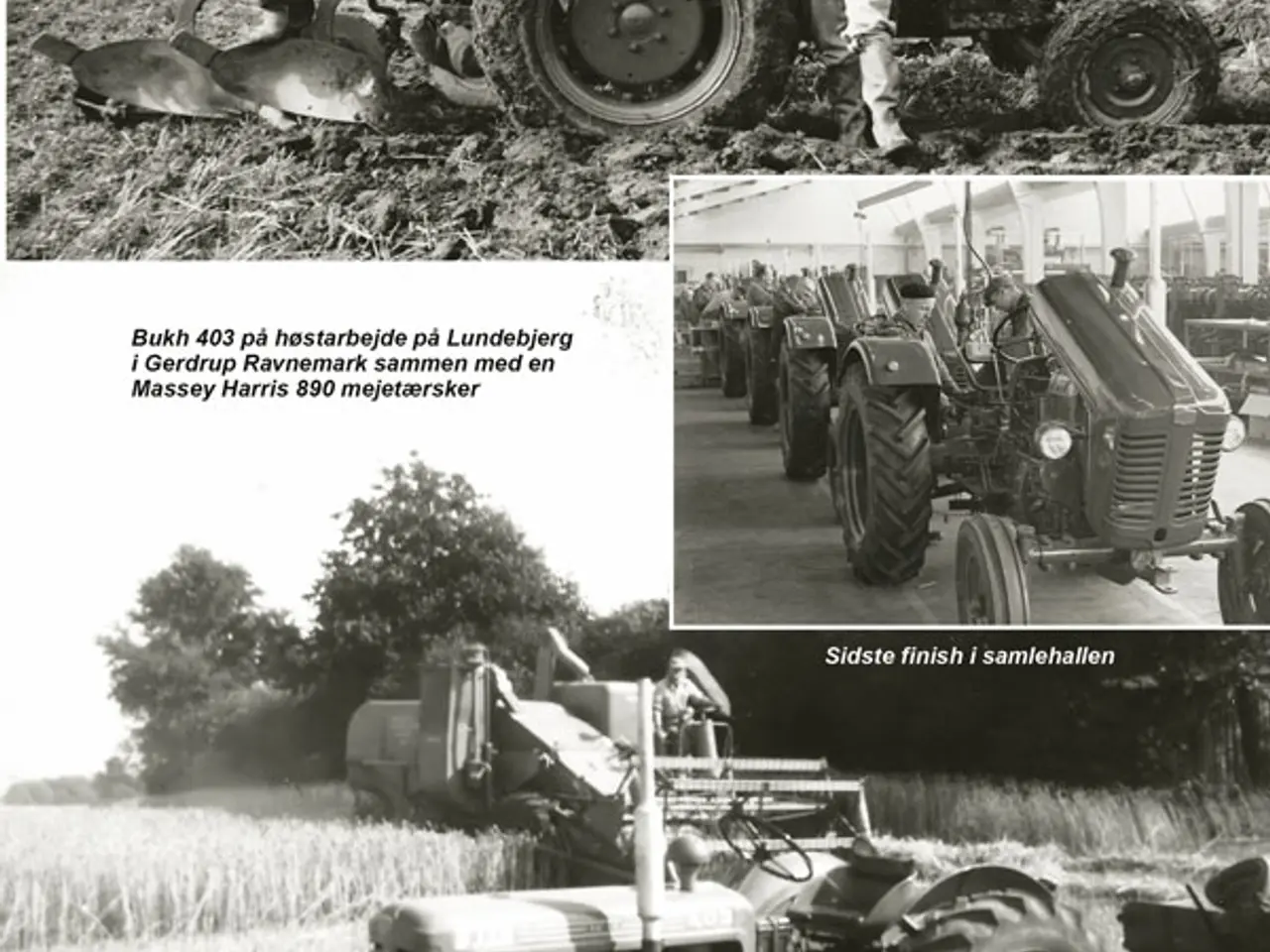 Billede 8 - Bukh - den danske traktor