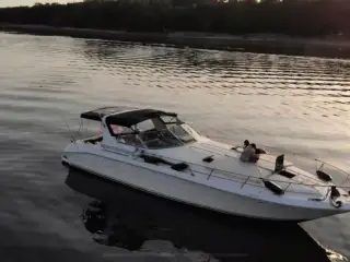 Dejlig stor motorbåd til billige penge Sea Ray