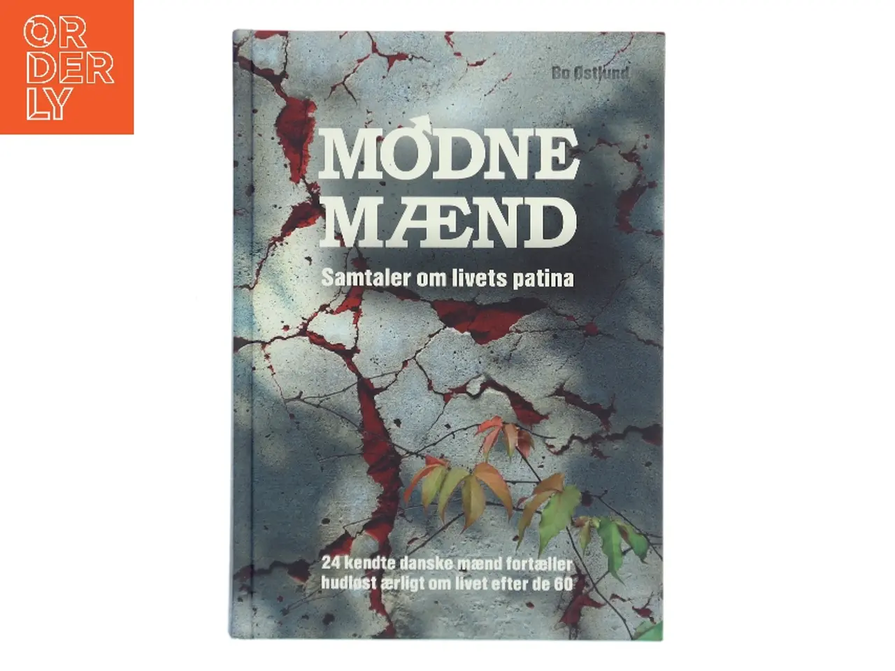 Billede 1 - Mødne mænd af Bo Østlund (Bog)