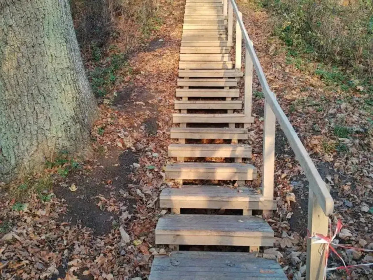 Billede 3 - Trappe, egetræ - hele DK
