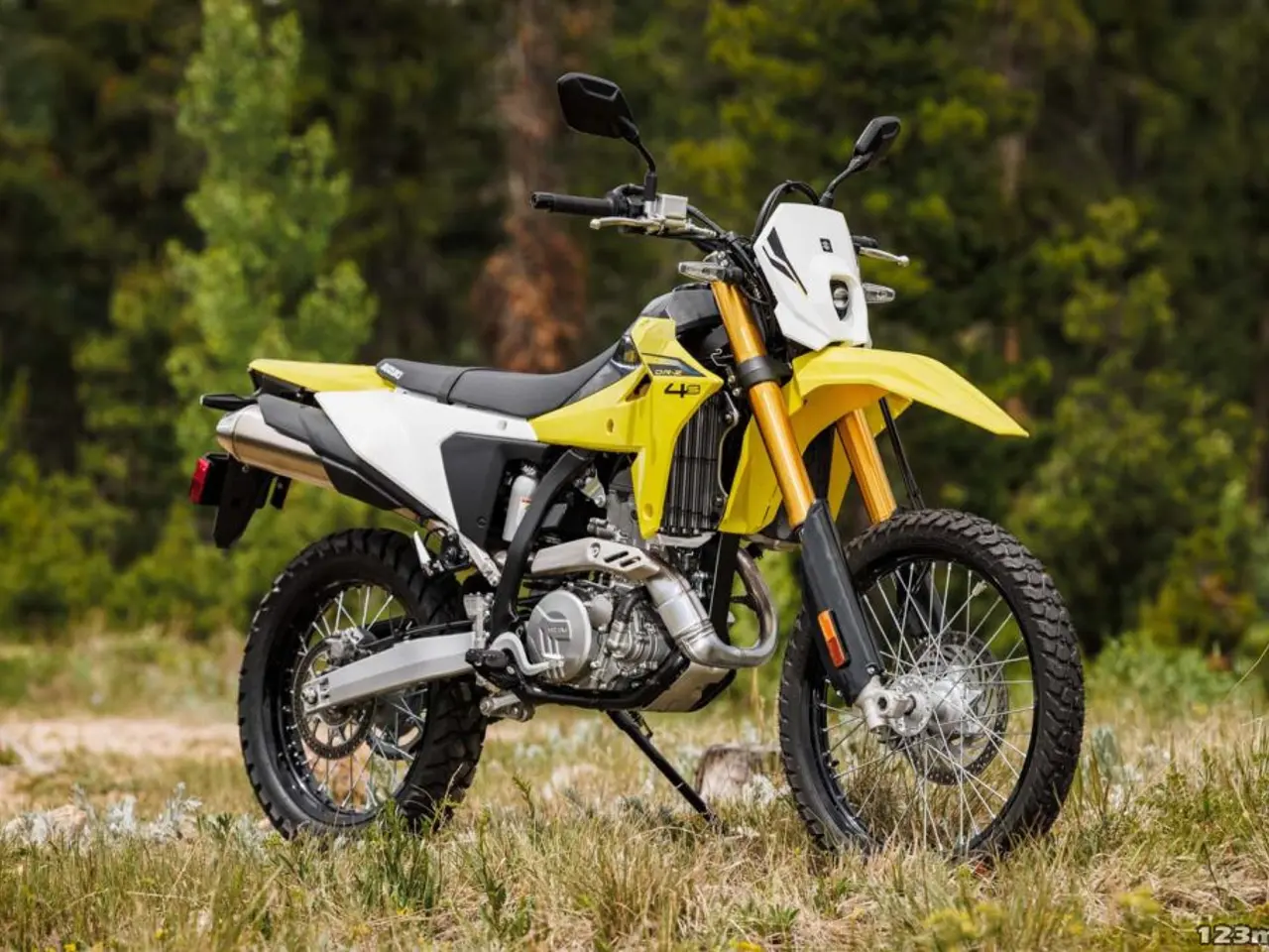 Billede 8 - Suzuki DR-Z4S