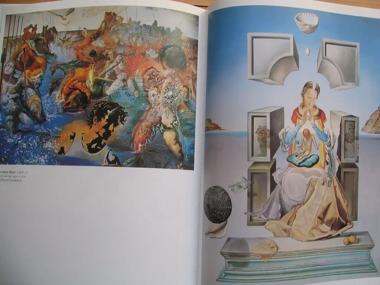 Billede 8 - Simon Wilson. Salvador Dali