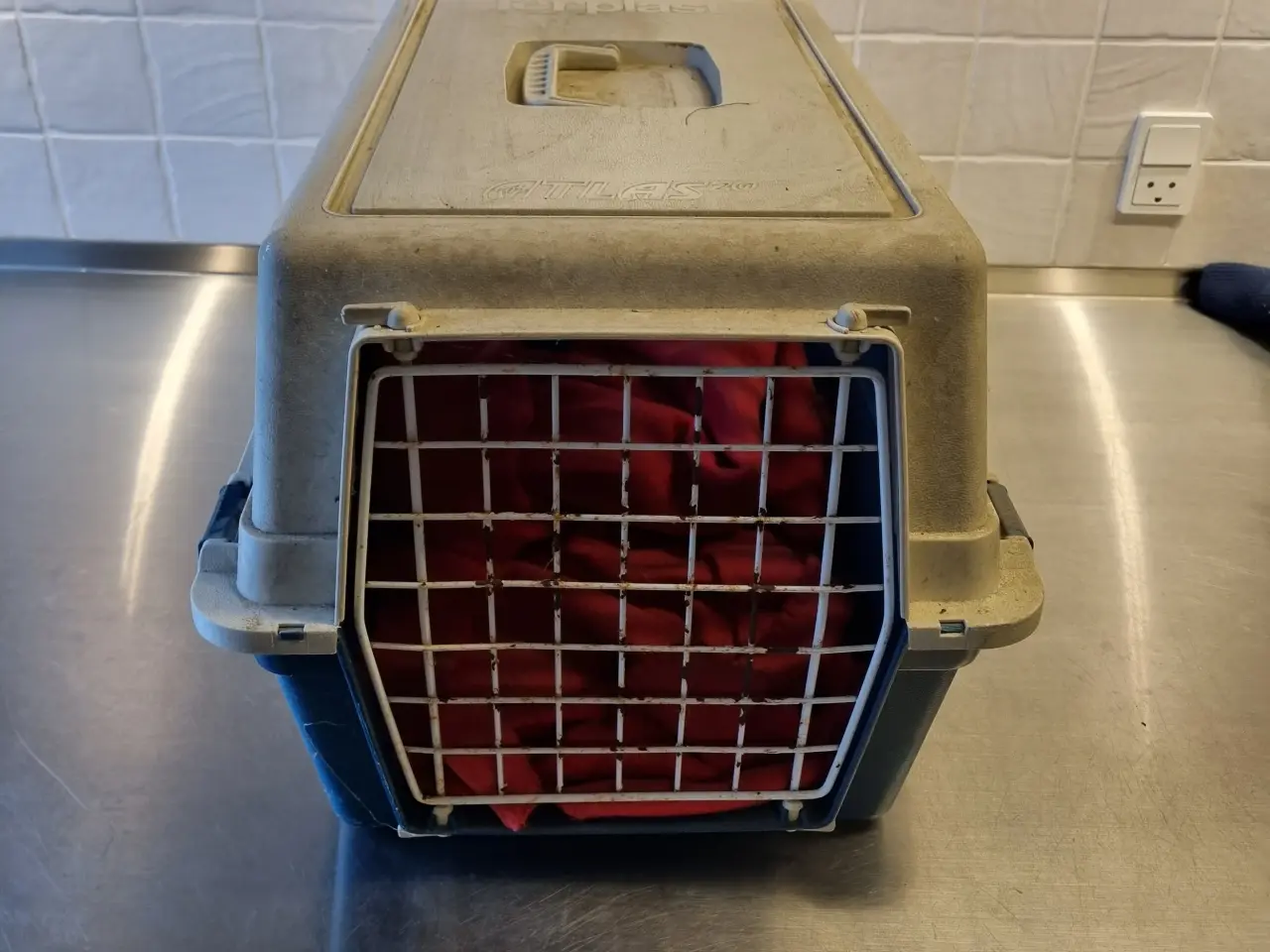 Billede 1 - Transportkasse til hund/kat sælges.