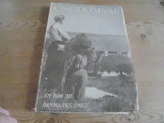 Ungdomsår – En bog til Danmarks unge