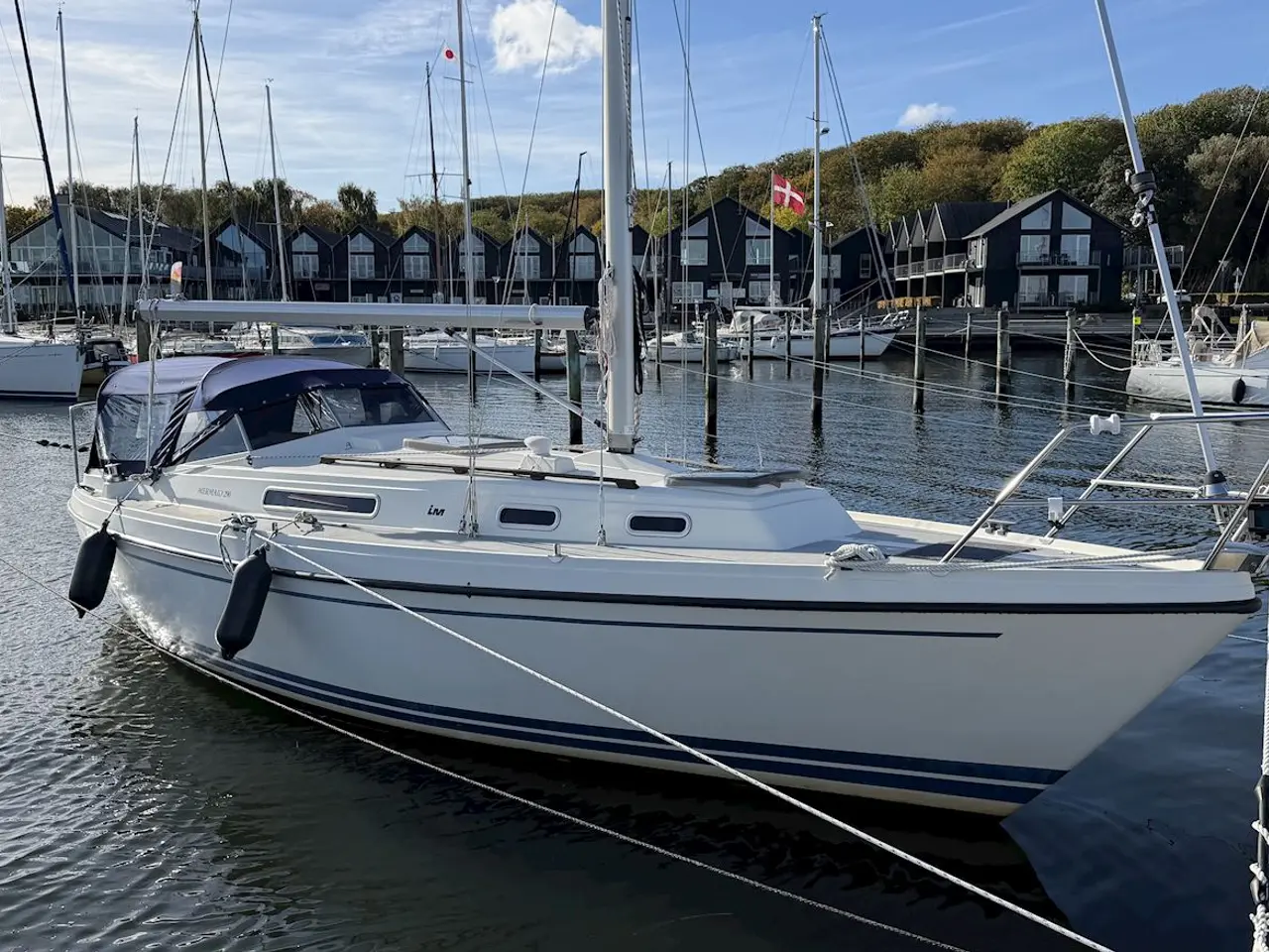 Billede 2 - LM Mermaid 290