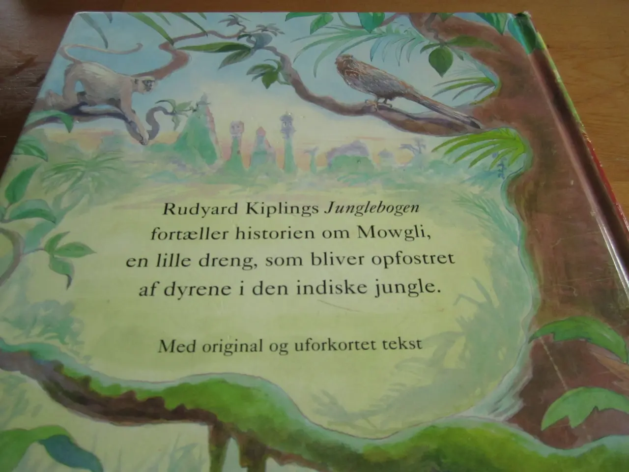 Billede 4 - Rudyard Kipling. JUNGLEBOGEN.