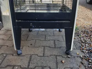 fuglebur sælges 500kr