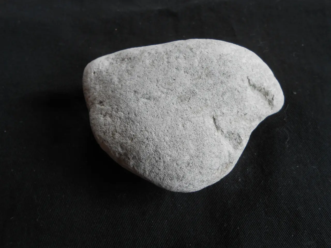 Billede 4 - Fossil Tydelig aftryk Muslingeskal Spondylus