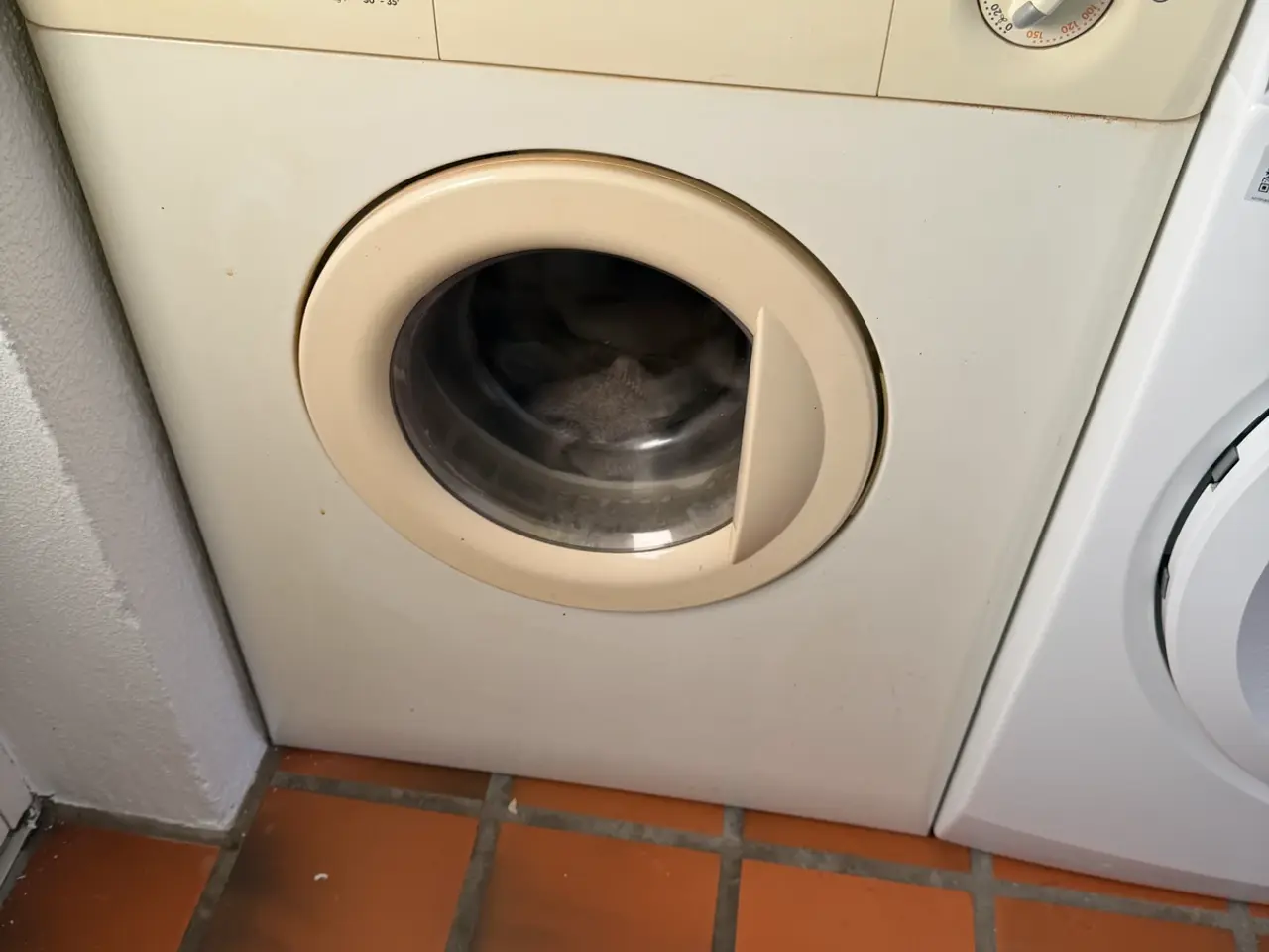 Billede 1 - Gratis Ældre zanussi tørretumbler