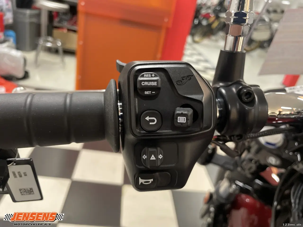 Billede 10 - Indian Super Scout