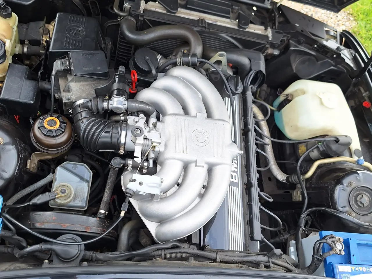 Billede 6 - BMW E30 325i cabriolet