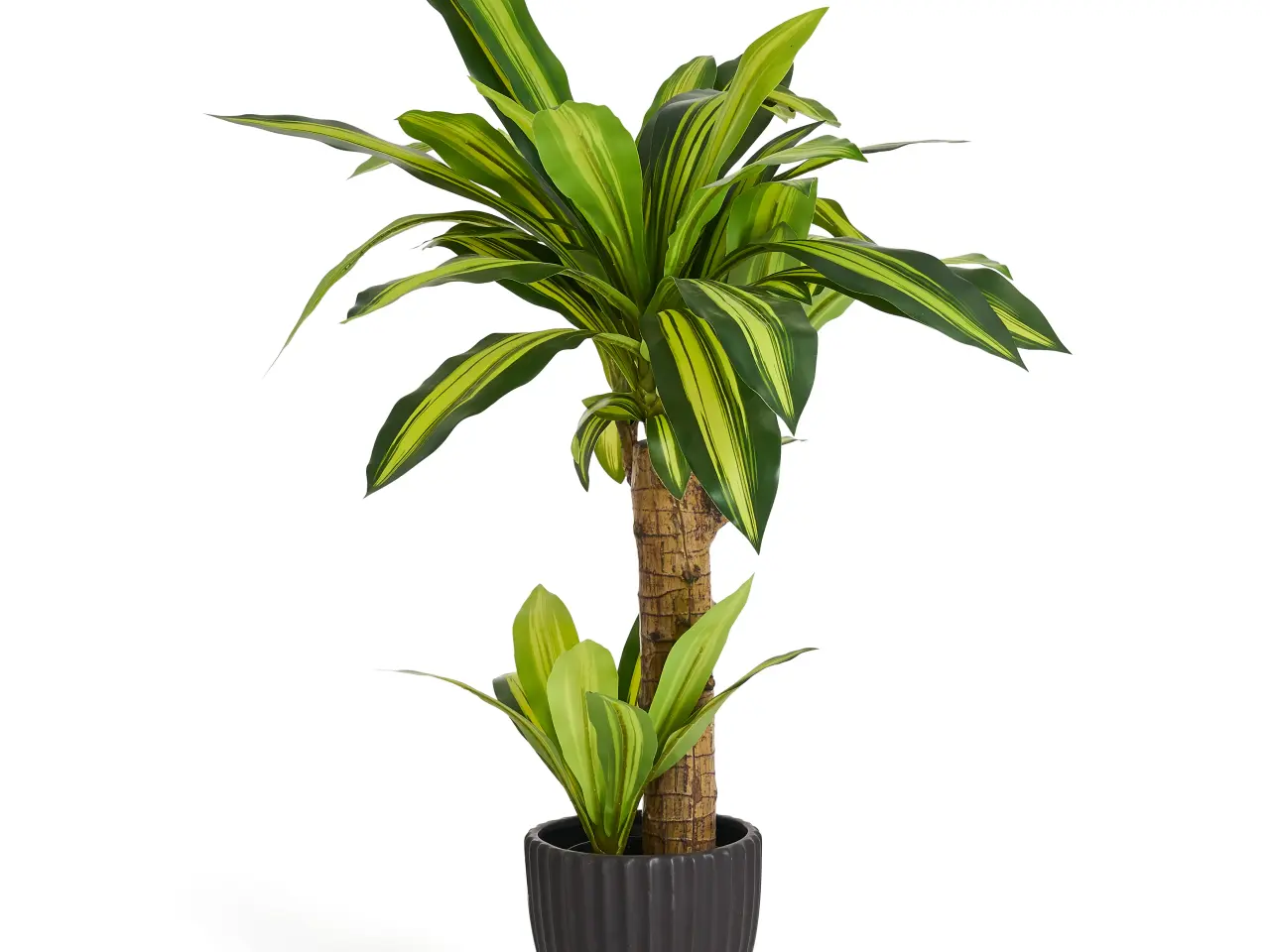 Billede 1 - Kunstig plante Happy Plante 75 cm.