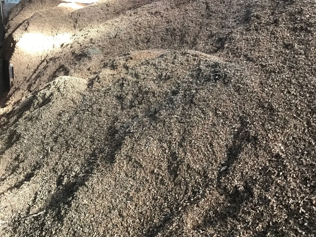 Billede 2 - pilleflis