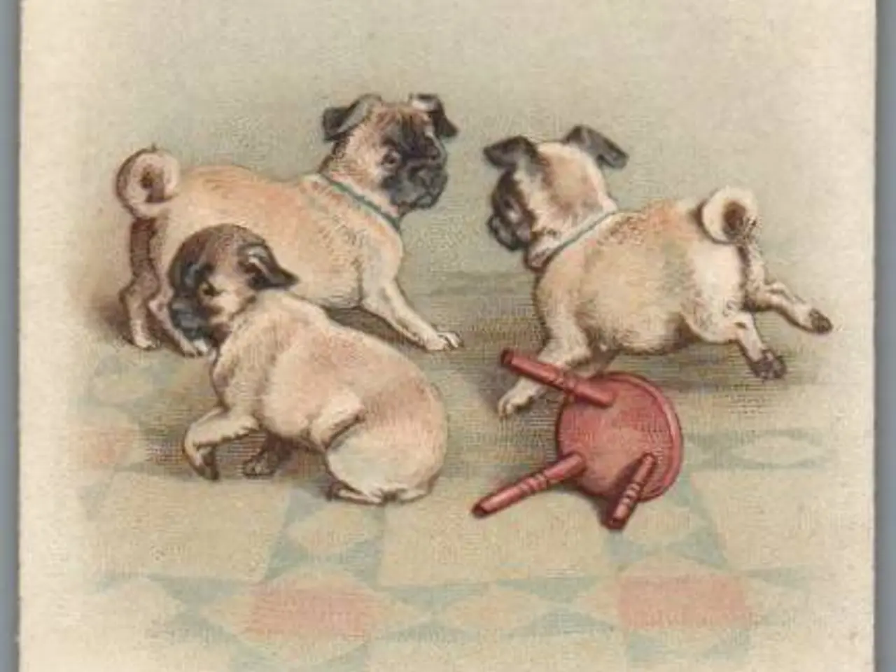 Billede 1 - Kartonkort - 1918 - Hundehvalpe