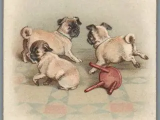 Kartonkort - 1918 - Hundehvalpe