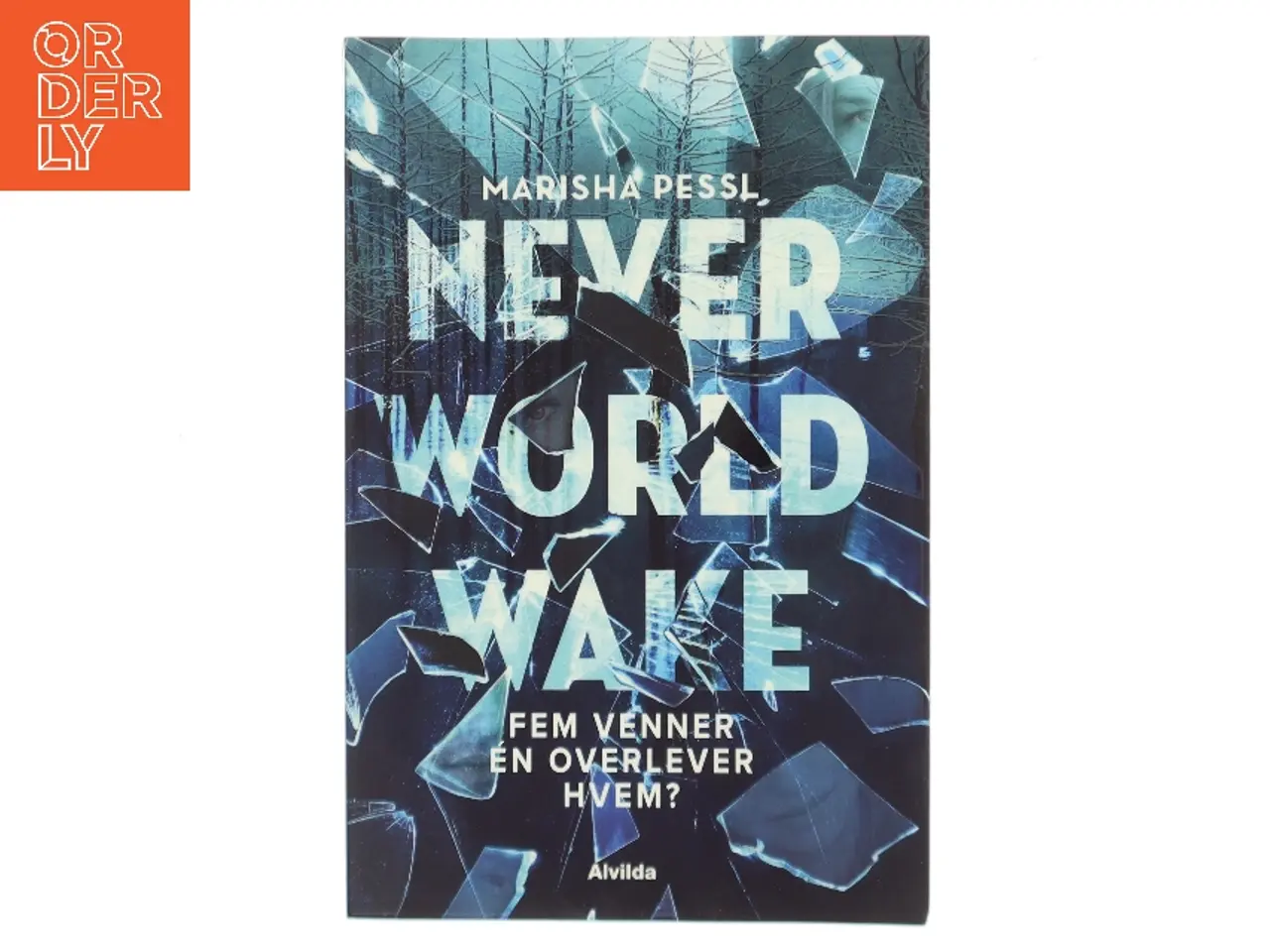Billede 1 - Neverworld wake af Marisha Pessl (Bog)