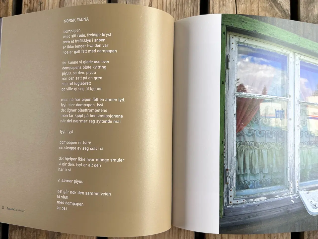 Billede 7 - Norske omveier – i blues og bilder – Norsk