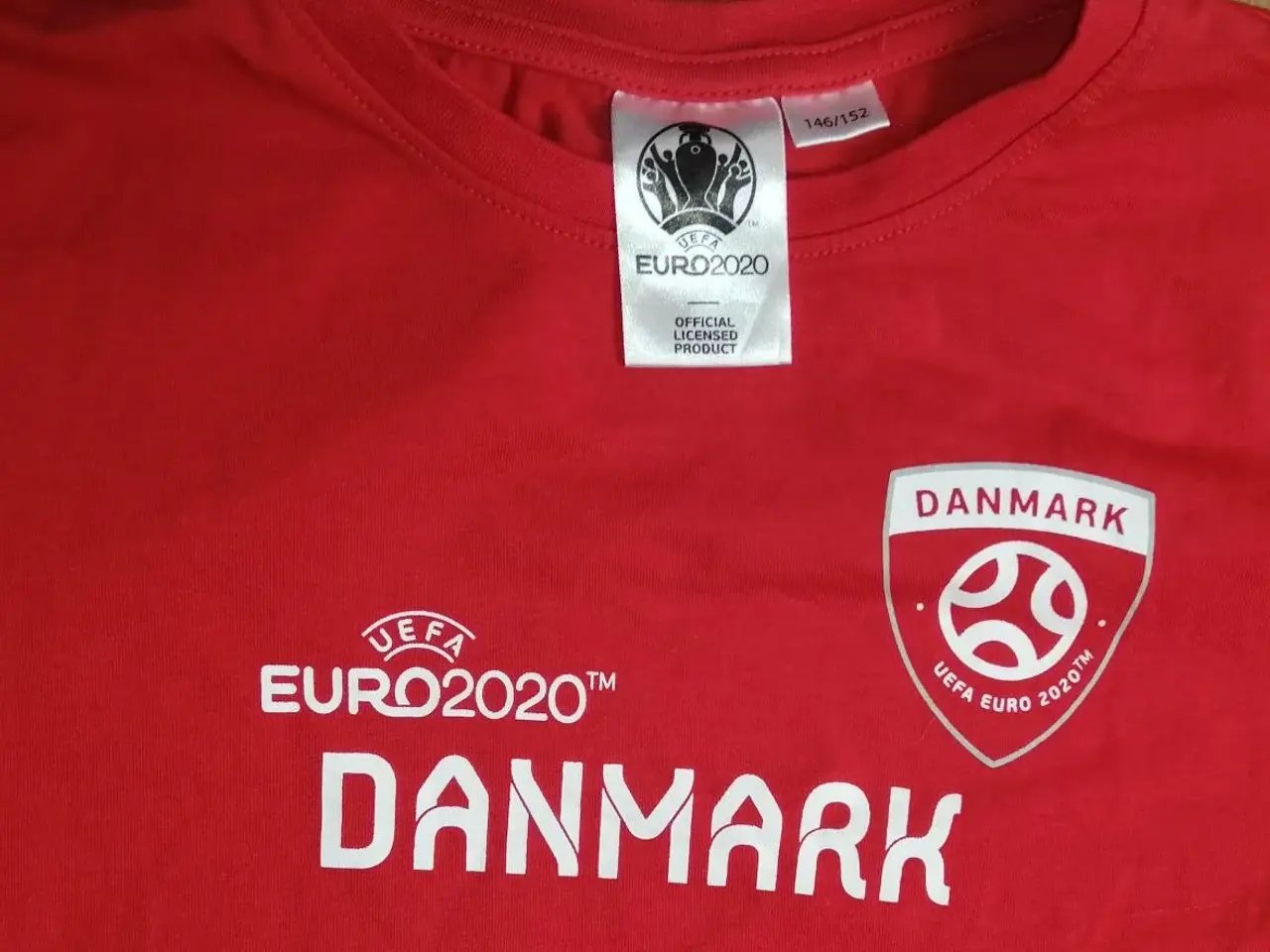 Billede 4 - 2 DANMARK FAN TSHIRT, STR. 10-12 ÅR OG HALSTØRKLÆ.