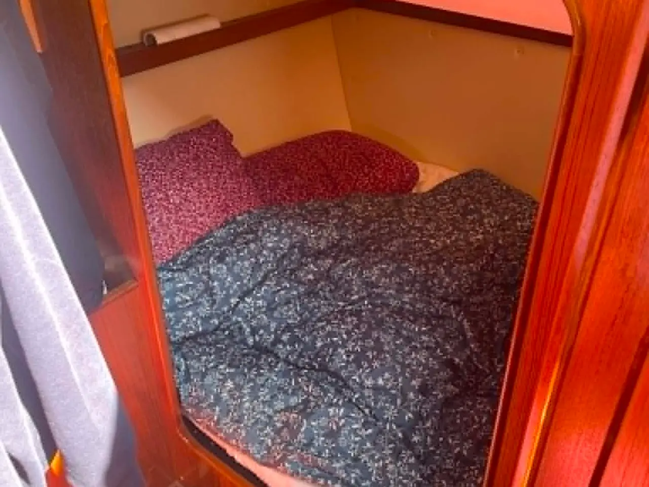 Billede 7 - Marex SunCruiser 290