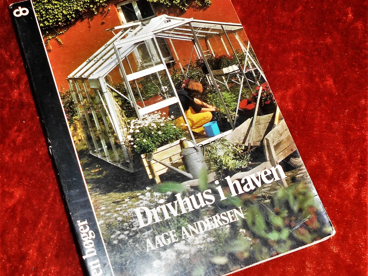 Billede 1 - Drivhuset i haven, Aage Andersen