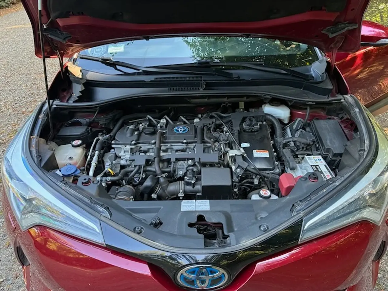 Billede 6 - Velholdt Toyota C-HR
