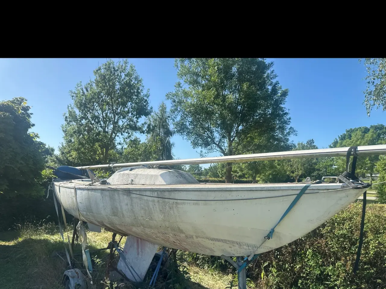 Billede 1 - Yngling sælges