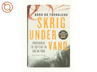 Am Ende Eines Sommers, Roman,, Aus Dem Englischen Von Rainer Schmidt (Bog)