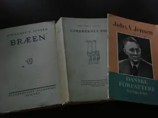 Cimbernes Tog + Bræen
