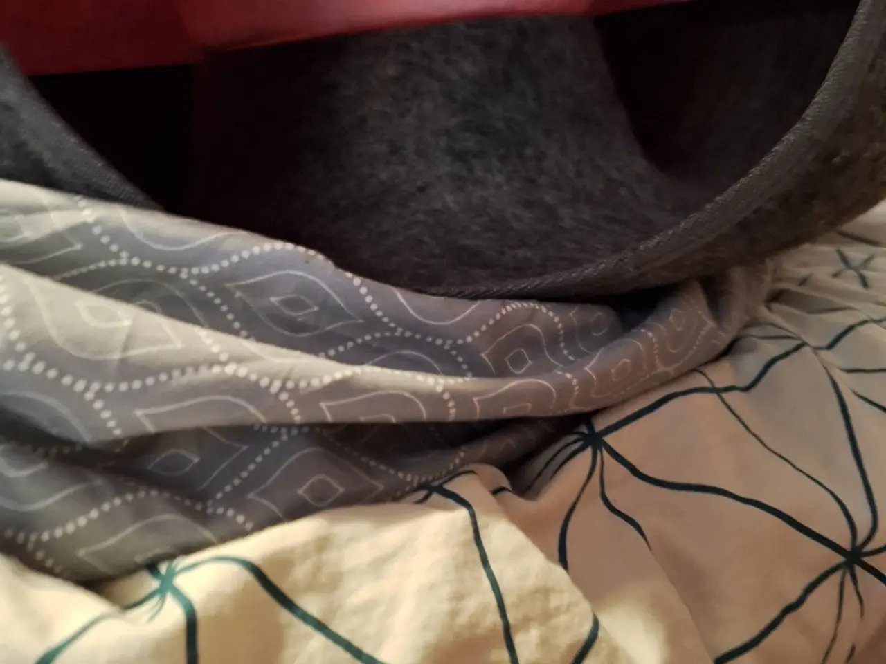 Billede 8 - Lidt bla. til katten