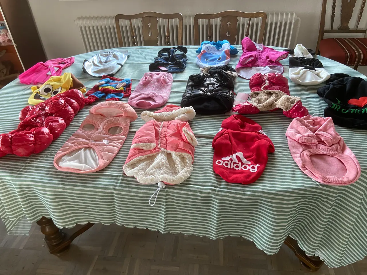 Billede 1 - Sælges hundetøj til hund som vejer 2~3 kg