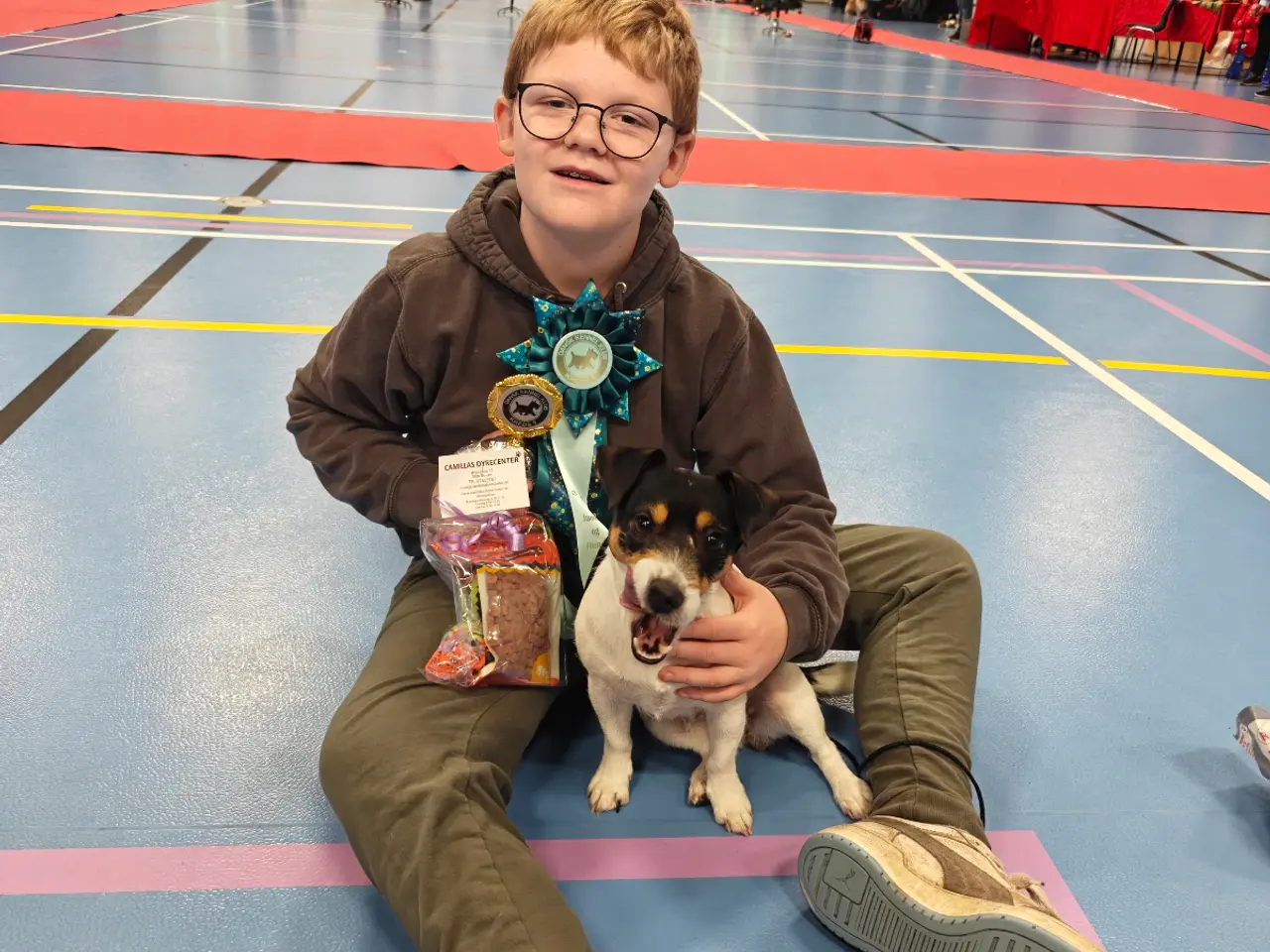 Billede 11 - Jack Russell Terrier hvalpe