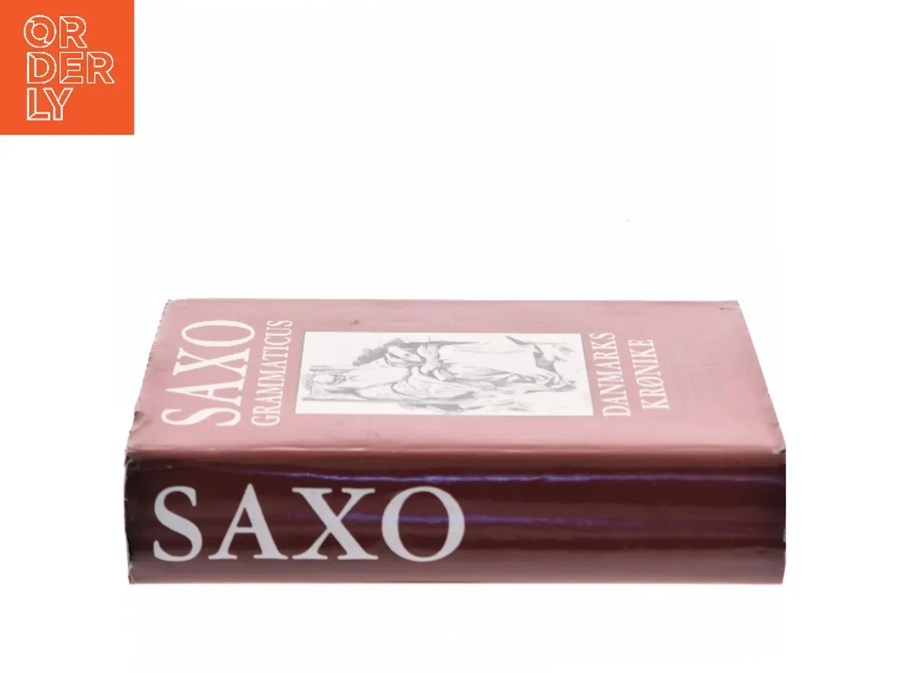 Billede 2 - Danmarks krønike af Saxo Grammaticus (Bog)