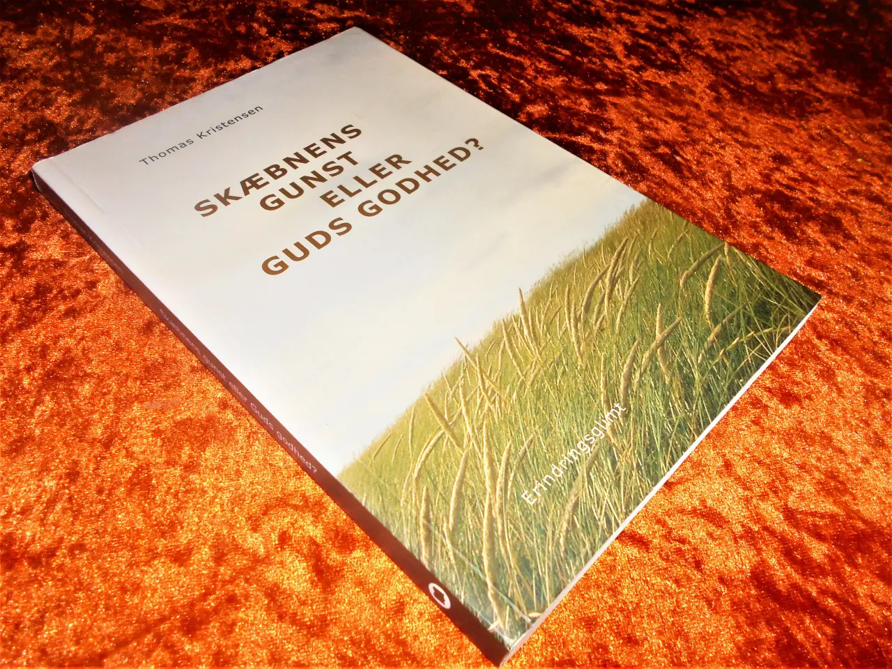 Billede 1 - Skæbnens gunst eller Guds godhed,