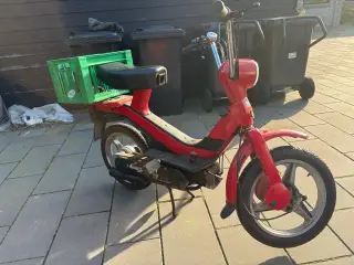 Dansk grillo
