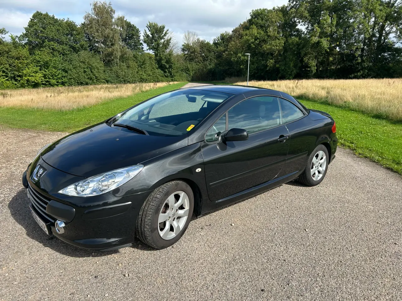 Billede 15 - Peugeot 307CC lavt km tal