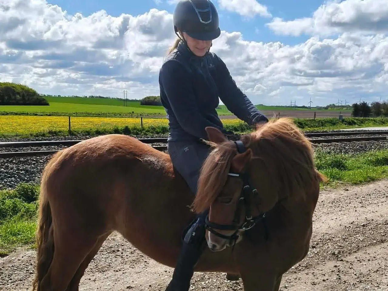 Billede 1 - 🌟 To skønne ponyer søger nyt hjem 🌟