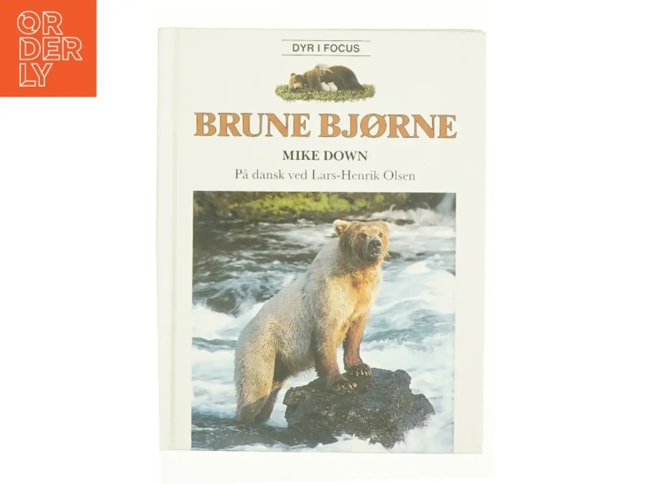 Billede 1 - Brune bjørne af Mike Down (Bog)