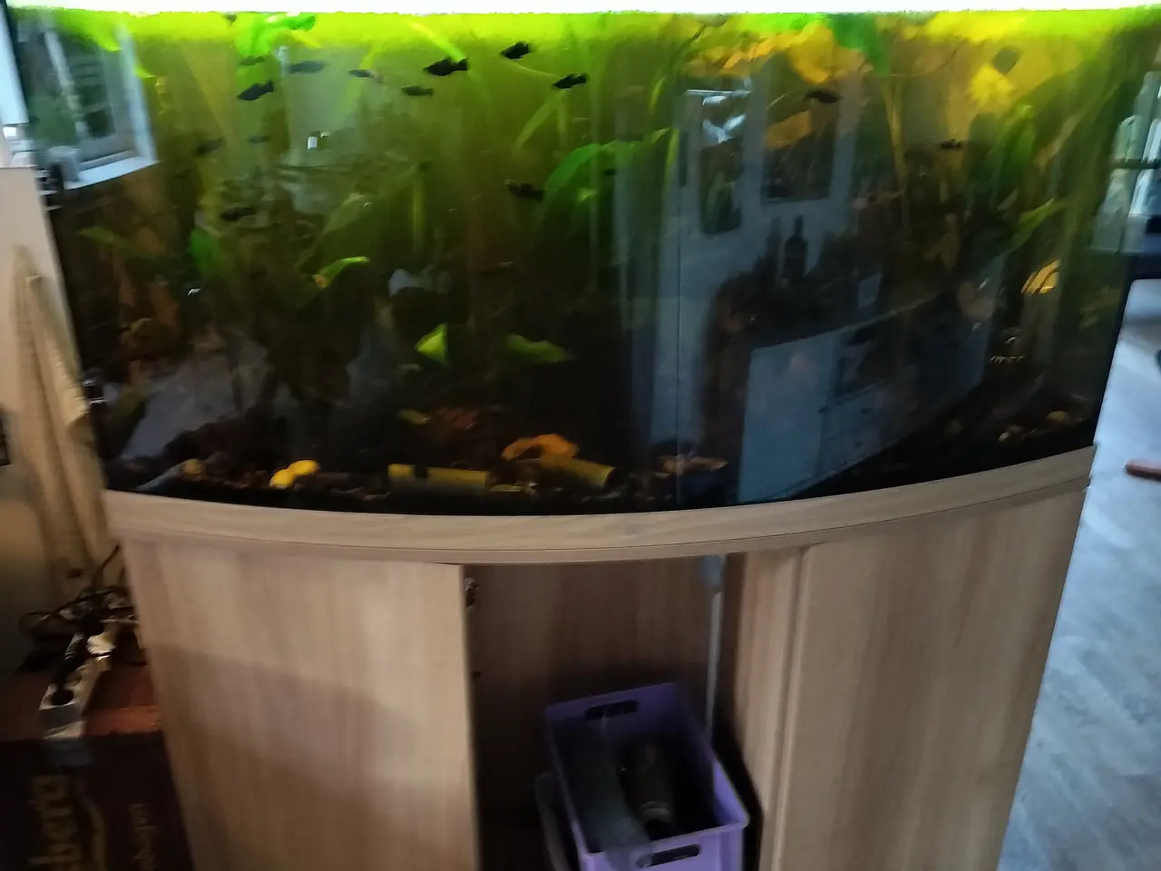 Billede 1 - Akvarie med bord