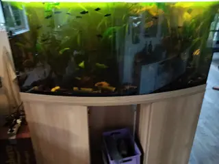 Akvarie med bord