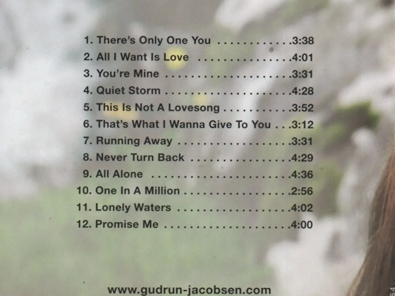 Billede 2 - Gudrun* – Quiet Storm – CD