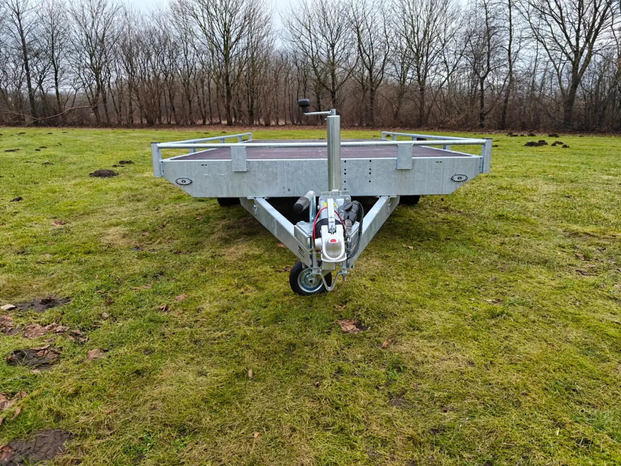Billede 8 - Eduard trailer 4020-3000 Multi - Reiling