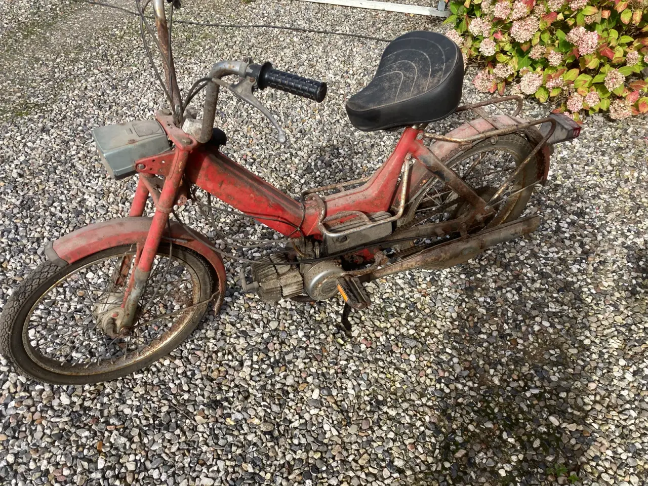 Billede 2 - Puch Maxi P