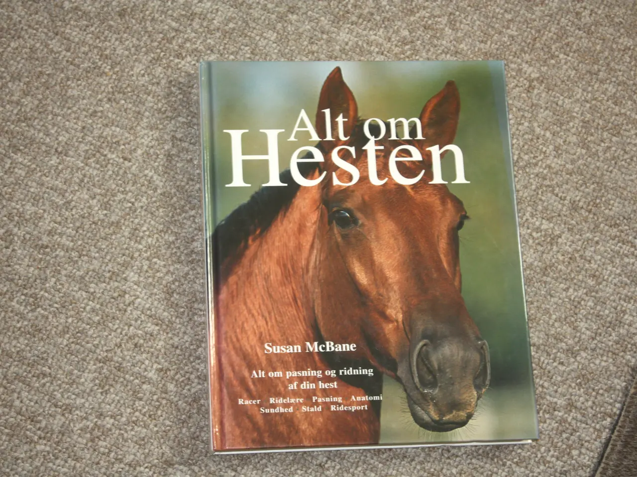 Billede 1 - Alt om hesten af Susan McBane