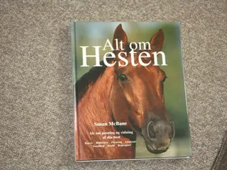 Alt om hesten af Susan McBane