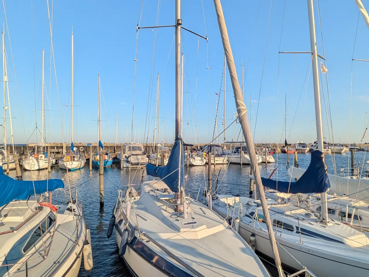 Billede 2 - Maxi 77 med bådplads i Mosede Havn