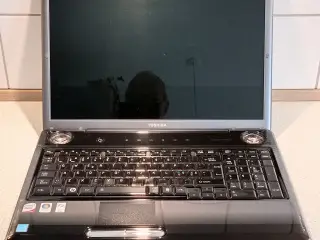 Satellite P 300 Notebook