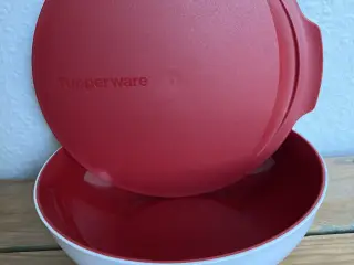Allergi skål