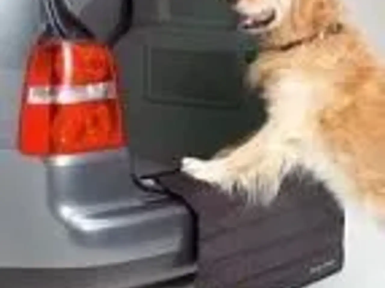 Billede 1 - Beskyt Kofangeren når hunden hopper ind 