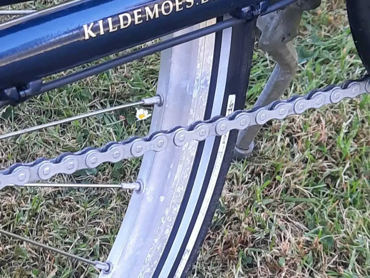 Billede 9 - Damecykel kildemoes
